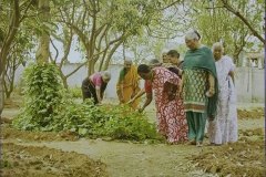 Residents participating at gardening activities